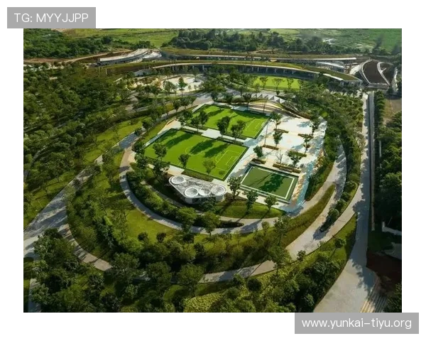 八里台体育公园项目建设过程中遇到的主要挑战与解决方案,确保项目顺利推进的经验分享